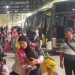 Pemkab Pemalang Gelar Mudik Gratis Idul Fitri 1446 H bagi Perantau di Jakarta