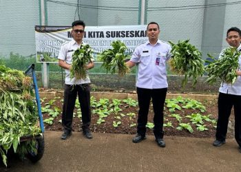 Lapas Cipinang Panen Raya: Program ‘Napi Berkebun’ Cetak Warga Binaan Mandiri