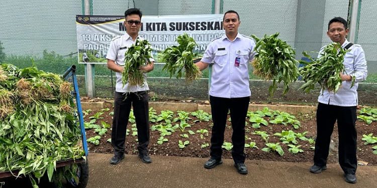 Lapas Cipinang Panen Raya: Program ‘Napi Berkebun’ Cetak Warga Binaan Mandiri