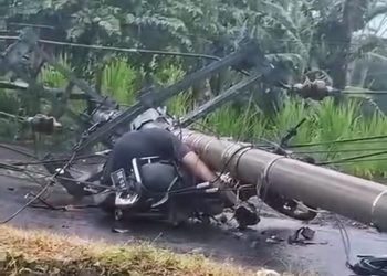 Mengenaskan, Staf DLH Karangasem Tewas Tertimpa Tiang Listrik Saat Pulang dari Sawah