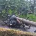 Mengenaskan, Staf DLH Karangasem Tewas Tertimpa Tiang Listrik Saat Pulang dari Sawah