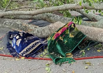 Tragedi Beringin Tumbang di Pemalang: Korban Meninggal Bertambah Satu Orang