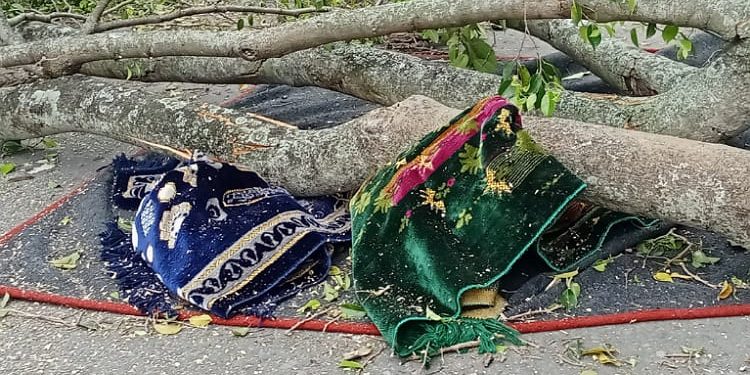 Tragedi Beringin Tumbang di Pemalang: Korban Meninggal Bertambah Satu Orang