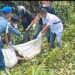 Oknum TNI AL Diduga Bunuh Pria di Gunung Salak, Aceh, Pelaku Ditahan