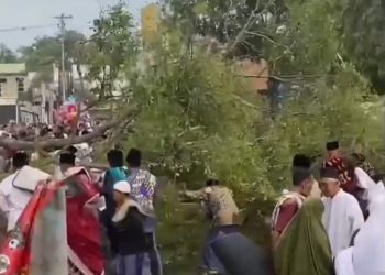 2 Jemaah Meninggal Dunia Tertimpa Pohon Tumbang Saat Sholat Idul Fitri