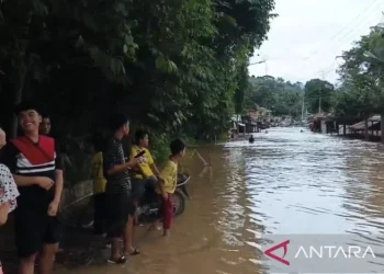 Banjir Parah di Tapanuli Selatan, Jalur Lintas Tengah Sumatera Lumpuh Total