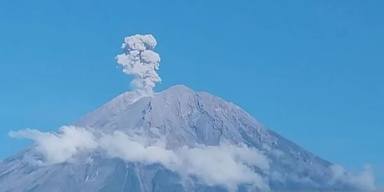 Gunung Semeru erupsi dengan tinggi letusan 1.100 meter di atas puncak