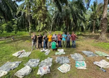 188 Kilogram Narkotika Sabu-Sabu ditemukan di kebun sawit Aceh Tamiang