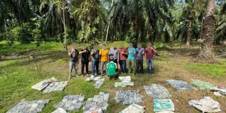188 Kilogram Narkotika Sabu-Sabu ditemukan di kebun sawit Aceh Tamiang