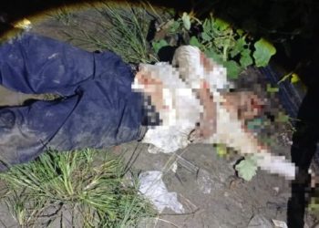 Mantan Kanit Reskrim di Deli Serdang Babak Belur Dihajar Massa, Diduga Terlibat Kasus Pencabulan