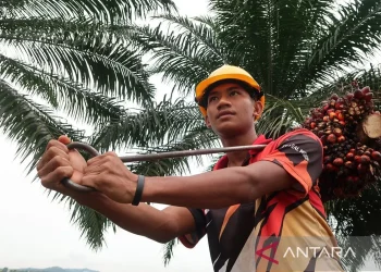 Menteri P2MI Jajaki Kerja Sama Penempatan Pekerja Migran di Malaysia