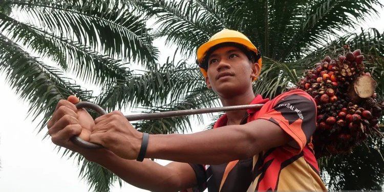 Menteri P2MI Jajaki Kerja Sama Penempatan Pekerja Migran di Malaysia