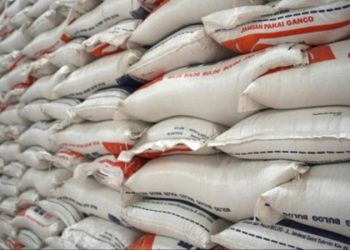 Serap Gabah Petani, Prabowo Minta Bulog Bangun Gudang Darurat