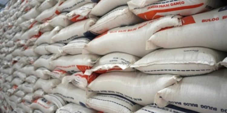 Serap Gabah Petani, Prabowo Minta Bulog Bangun Gudang Darurat