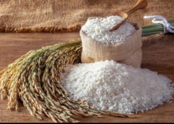 Cadangan Beras Pemerintah Tembus 3,8 Juta Ton