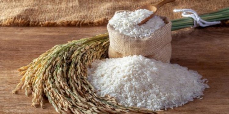 Cadangan Beras Pemerintah Tembus 3,8 Juta Ton