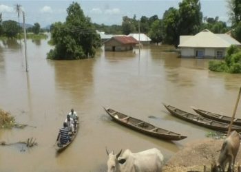 Pilu 150 Orang Tewas Akibat Banjir Bandang di Nigeria