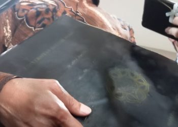 Penampakan Ijazah Jokowi yang Jadi Polemik, Logo UGM di Mapnya Memudar