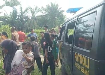 Warga Air Hitam Geger! Mayat Pria Membusuk Ditemukan di Parit, Identitas Masih Misterius