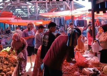 Harga Bahan Pokok di Pasaman Barat Naik Tajam