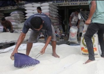 Harga Beras Naik, Di Kabupaten Intan Jaya Papua Tengah Capai Rp 54.000/ Kg
