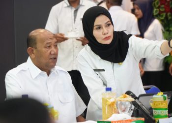 Bupati Langkat Pukau Forum Nasional OJK dengan Inovasi Inklusif TPAKD: Disabilitas Tak Lagi Tertinggal