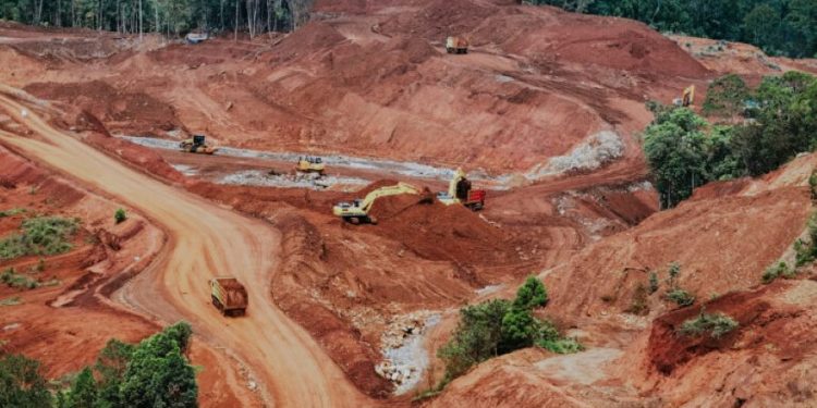 Obral Izin Tambang di Era Megawati: 13 Perusahaan Masuk Hutan Lindung Papua hingga Raja Ampat