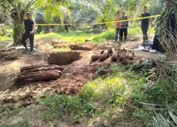 20 Bom Mortir Aktif Sisa Perang Dunia II Ditemukan di Langkat