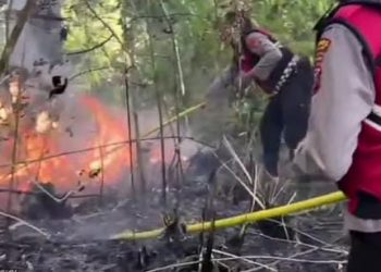 TNI-Polri dan Warga Padamkan Karhutla 15 Ha di Kabupaten Karo, Diduga Akibat Puntung Rokok