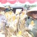 Bupati Pasbar Yulianto bersama Kapolres AKBP Agung Tribawanto Ikuti Panen Raya Jagung Serentak Kuartal II di Sukamenanti