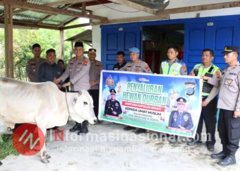 Kapolda Sumut Serahkan Sapi Qurban untuk Yayasan Pendidikan Islam di Dairi