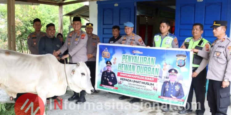 Kapolda Sumut Serahkan Sapi Qurban untuk Yayasan Pendidikan Islam di Dairi