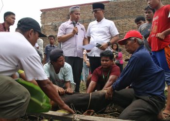 Projo Muda Sumut dan RKBN Salurkan 1.000 Paket Daging Kurban, Perkuat Semangat Gotong Royong di Hari Raya Iduladha