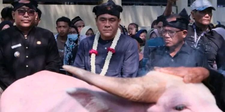 Meriah dan Penuh Makna, Wanarata Rayakan Hari Jadi ke-491 Lewat Dewata Fest Culture 2025