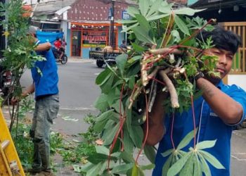 Warga Binaan Lapas Cipinang Bersihkan Tembok Luar, Cegah Celah Pelarian Lewat Asimilasi Kerja