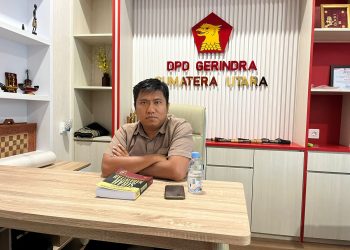 Anggota DPRD Gerindra Apresiasi Walikota Binjai Cicil Honor Kader Posyandu, Tapi Ingatkan Jangan Sekadar Jualan Politik