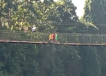 Menjelajah Tangkahan: Ekowisata Hijau yang Menyentuh Hati di Ujung Sumatera