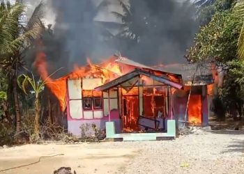 Kebakaran Hebat di Langkat: Rumah Warga Ludes, Kerugian Capai Rp100 Juta