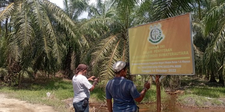 Meski Disita Negara, Kebun Sawit di Kawasan Suaka Margasatwa Karang Gading Masih Dipanen!