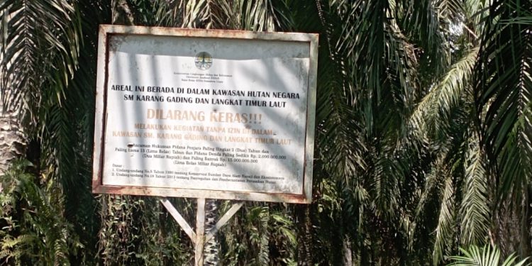 Hutan yang Ditebang, Hukum yang Dilanggar: Wajah Muram KSDA Langkat Timur Laut di Tanjung Pura