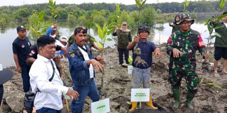 Kolaborasi AMPHIBI, Mahasiswa USU, dan HNSI Medan Peringati Hari Lingkungan Hidup Sedunia 2025 di Danau Siombak