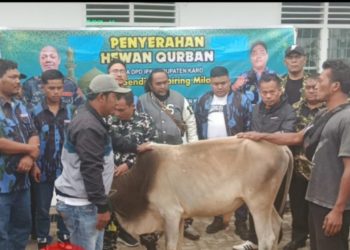 Ketua IPK dan PPM LVRI Karo Salurkan Puluhan Hewan Kurban di Hari Raya Iduladha 1446 H