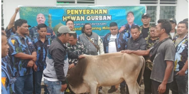Ketua IPK dan PPM LVRI Karo Salurkan Puluhan Hewan Kurban di Hari Raya Iduladha 1446 H