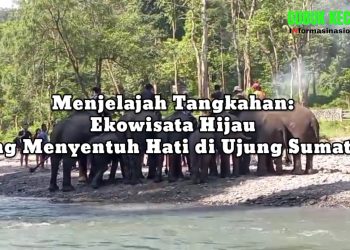 Ekowisata Tangkahan Diujung Sumatera yang Menyentuh Hati