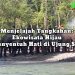 Ekowisata Tangkahan Diujung Sumatera yang Menyentuh Hati