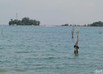 BMKG Prediksi Banjir Rob Pekan Ini di Medan Belawan, Ketinggian Capai 2,5 M