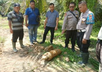 Penemuan Puluhan Bom Mortir Sisa Perang Dunia II Gegerkan Warga Langkat