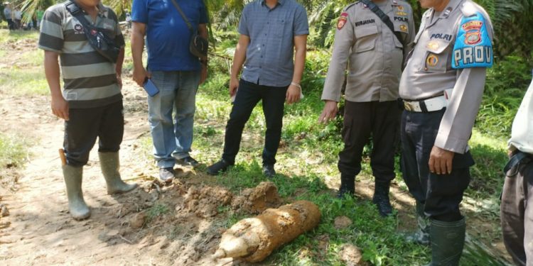 Penemuan Puluhan Bom Mortir Sisa Perang Dunia II Gegerkan Warga Langkat