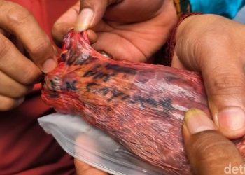 Warga Enggan Konsumsi Paru Sapi Kurban Bertuliskan Nama Orang di Tangsel