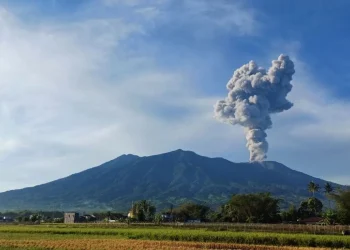 Gunung Marapi Erupsi Rabu Pagi, Dentuman Terdengar Hingga Bukittinggi